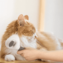 Escova Tira Pelos One Click